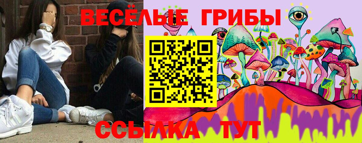 Шарыпово  Псилоцибиновые грибы MAGIC MUSHROOMS  сколько стоит  Вход с VPN 
