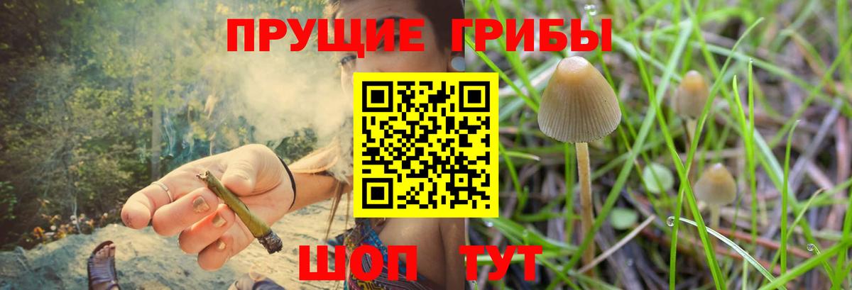 Псилоцибиновые грибы GOLDEN TEACHER Шарыпово